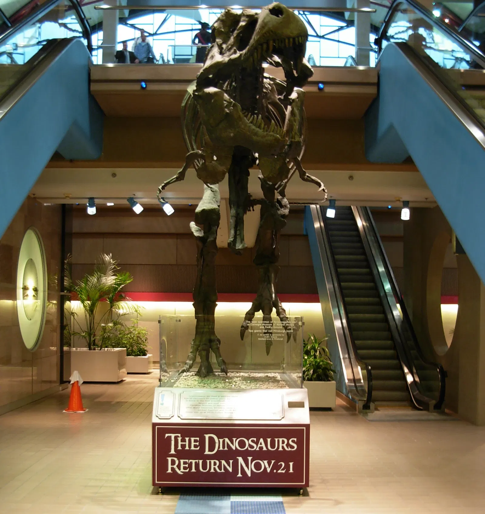 Museo Carnegie de Historia Natural