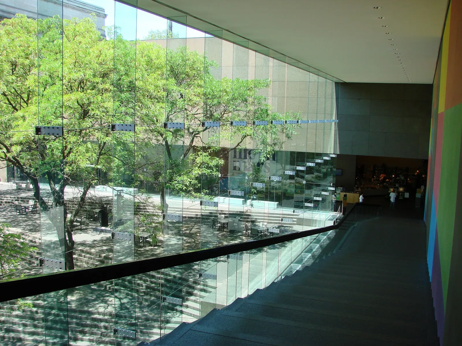 Museo Carnegie de Historia Natural