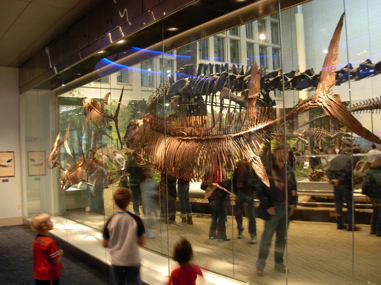 Museo Carnegie de Historia Natural