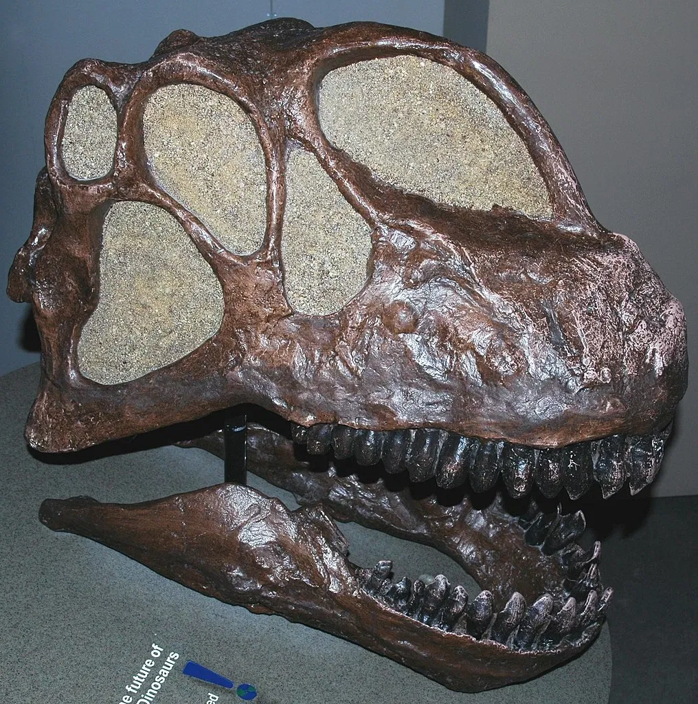 Carnegie Museum of Natural History