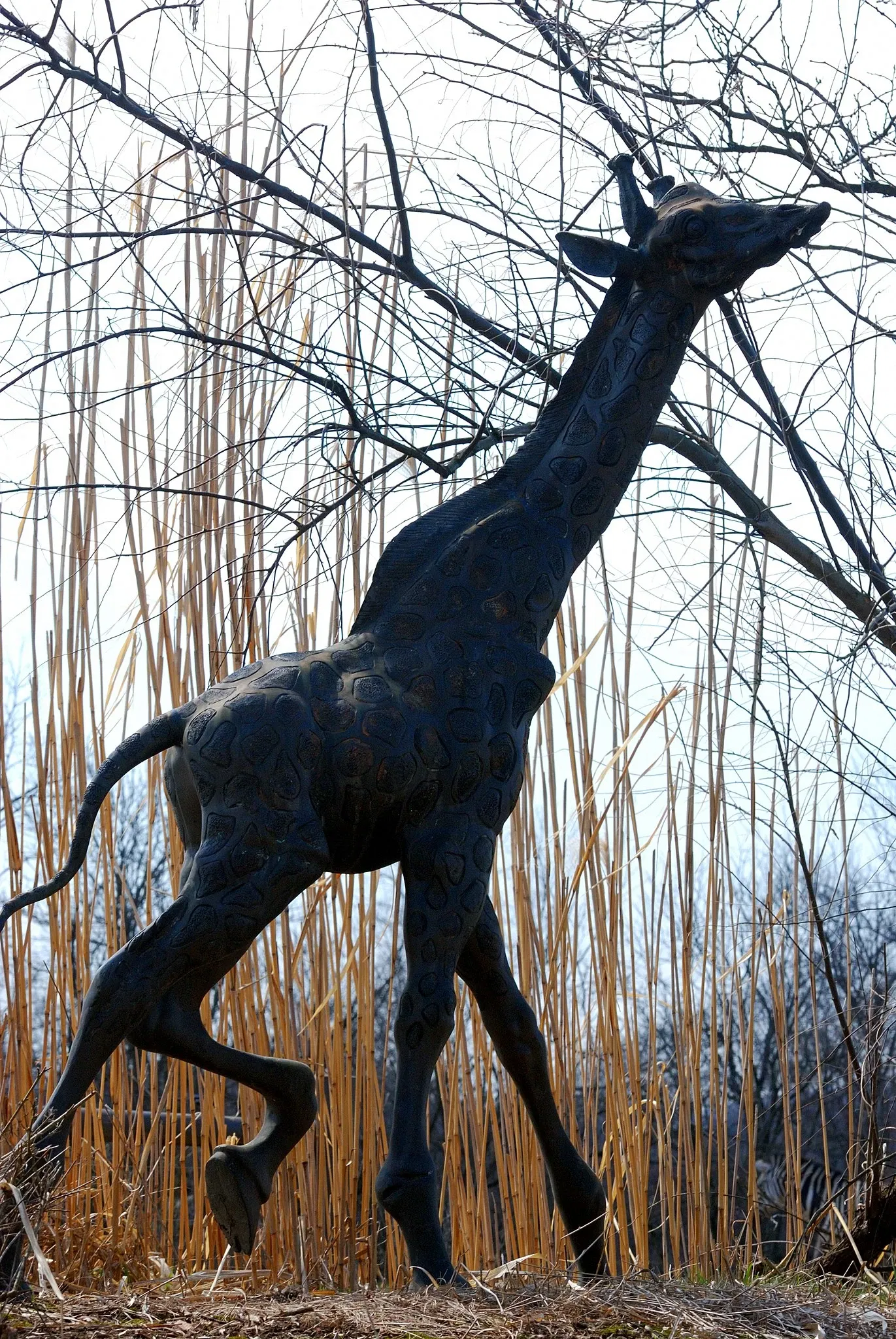 Pittsburgh Zoo & Aquarium