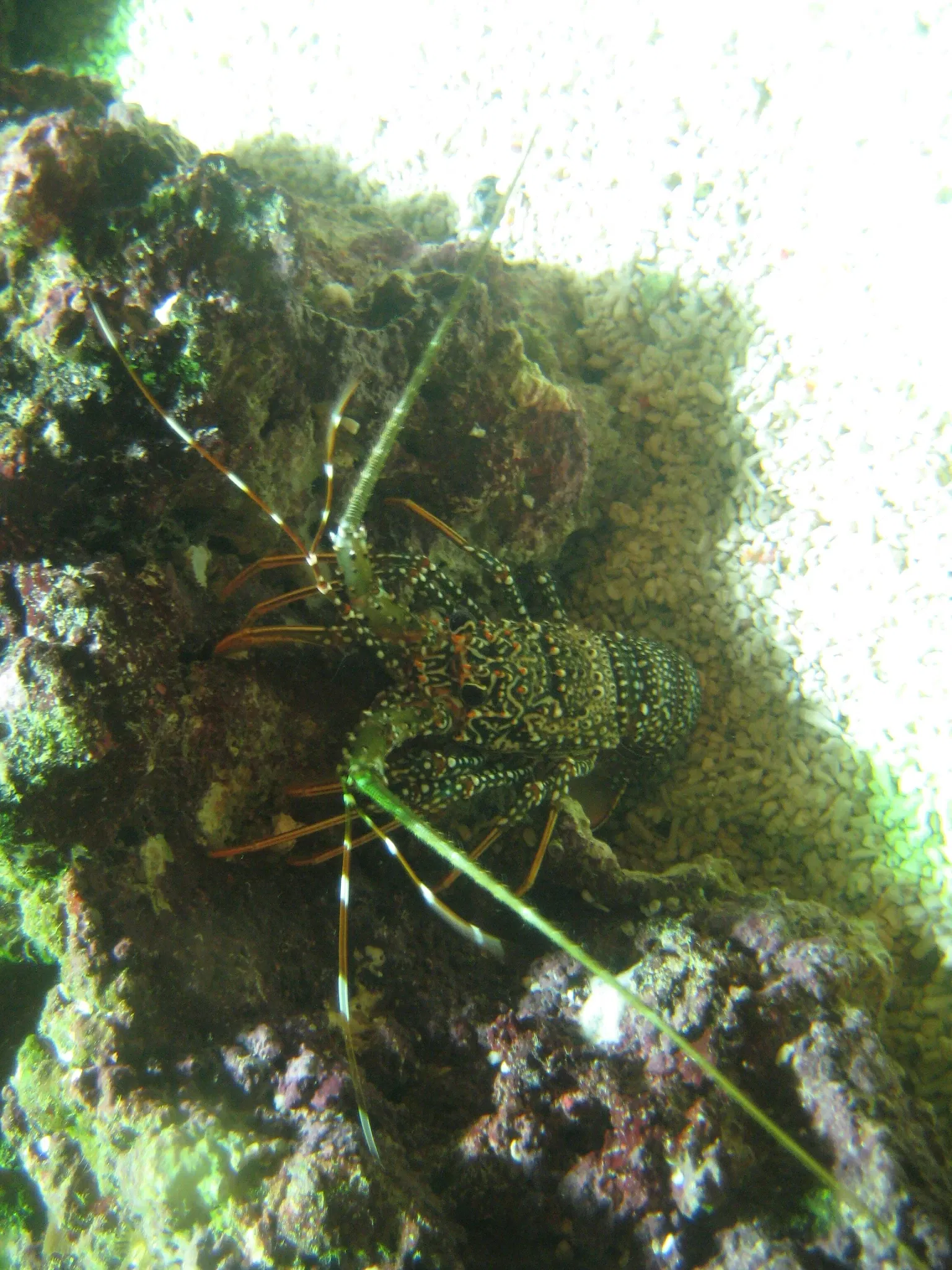 Pittsburgh Zoo & Aquarium