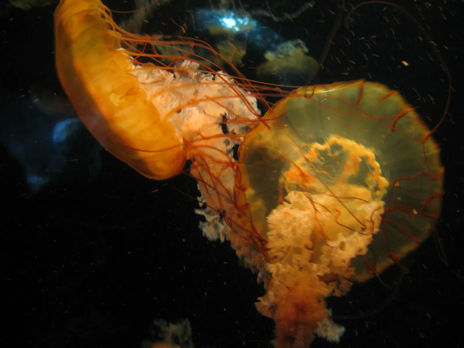 Pittsburgh Zoo & Aquarium