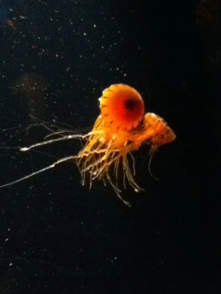 Pittsburgh Zoo & Aquarium