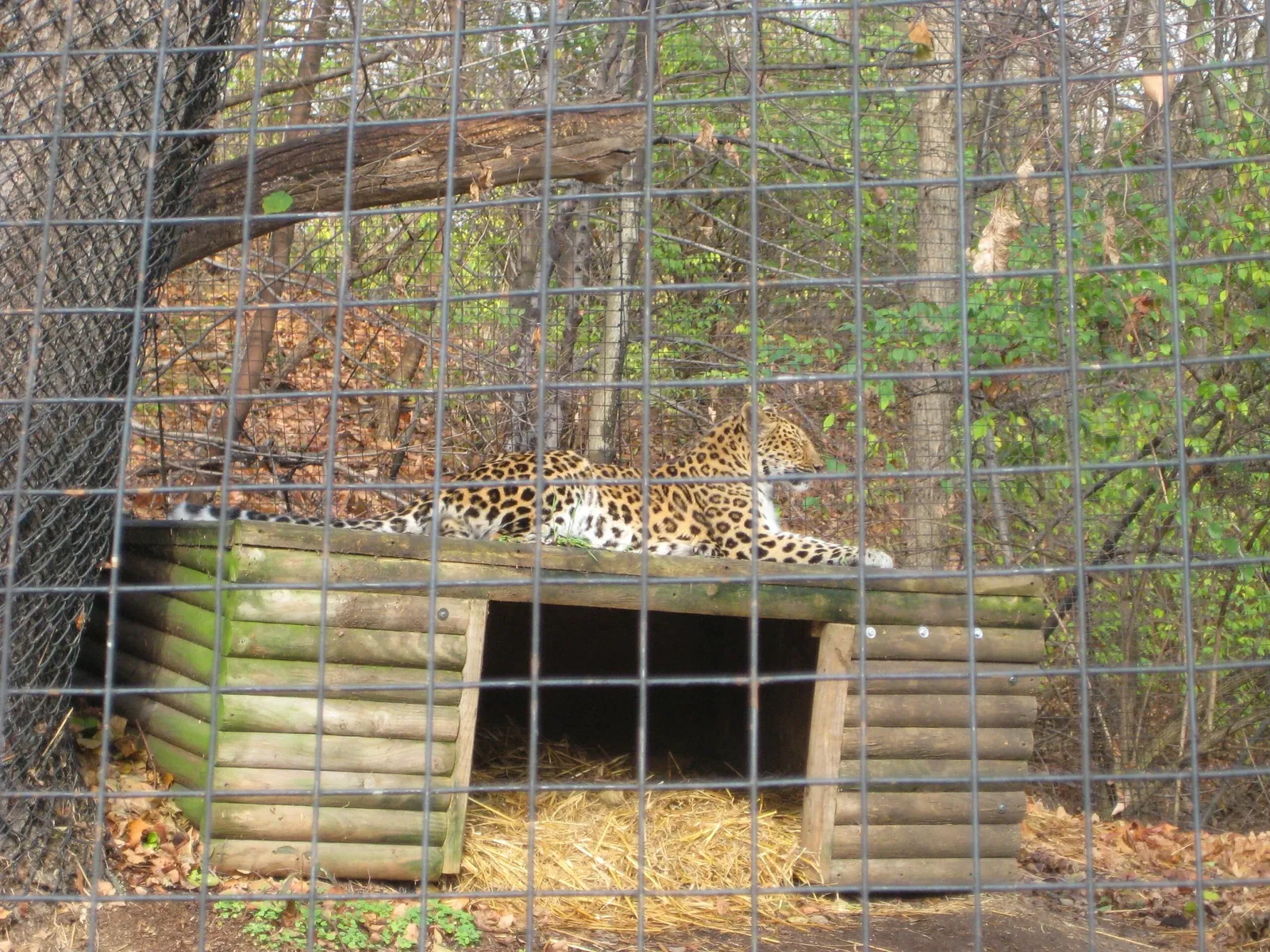 Pittsburgh Zoo & Aquarium