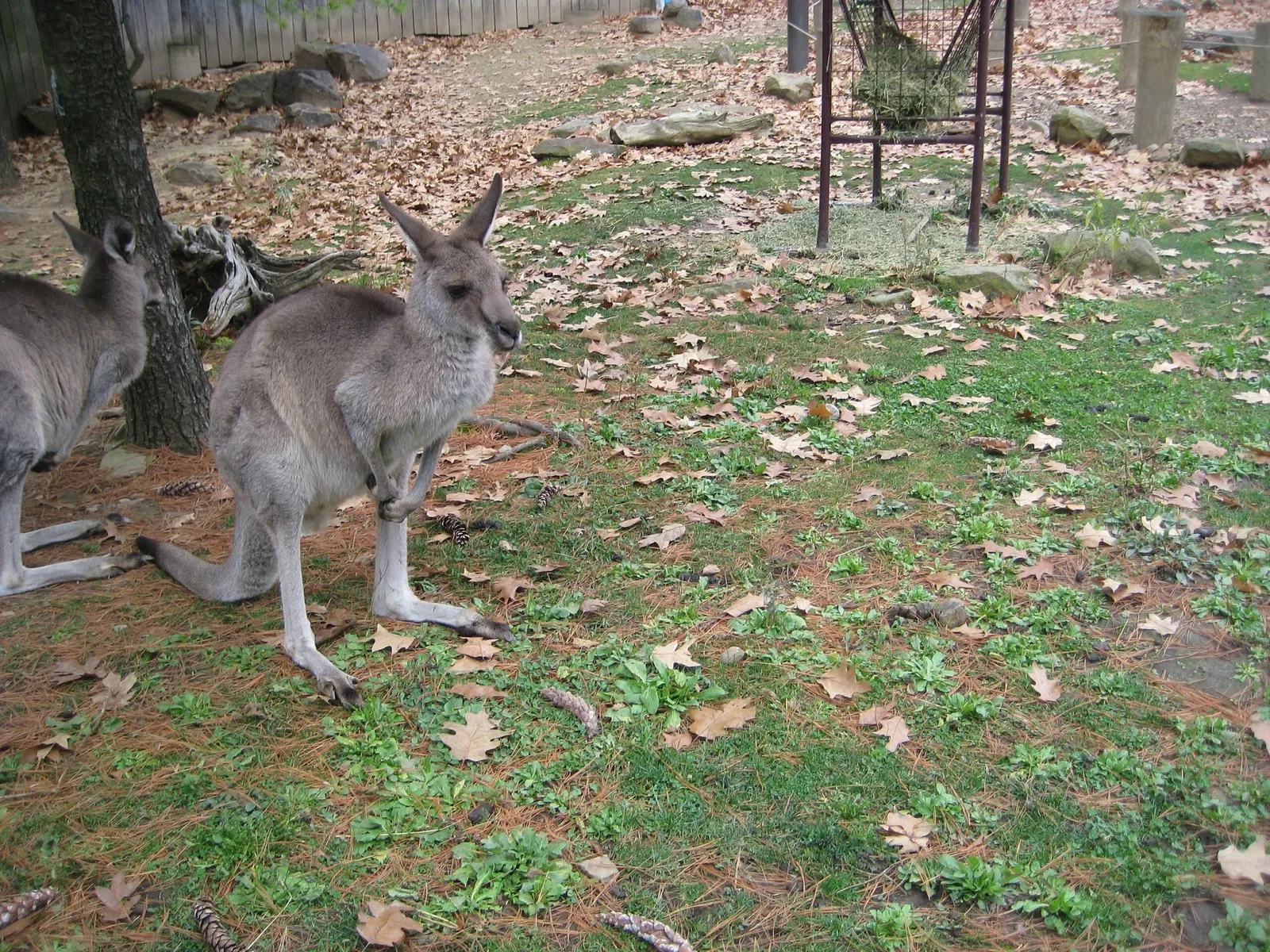 Pittsburgh Zoo & Aquarium