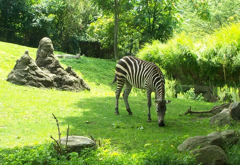 Pittsburgh Zoo & Aquarium