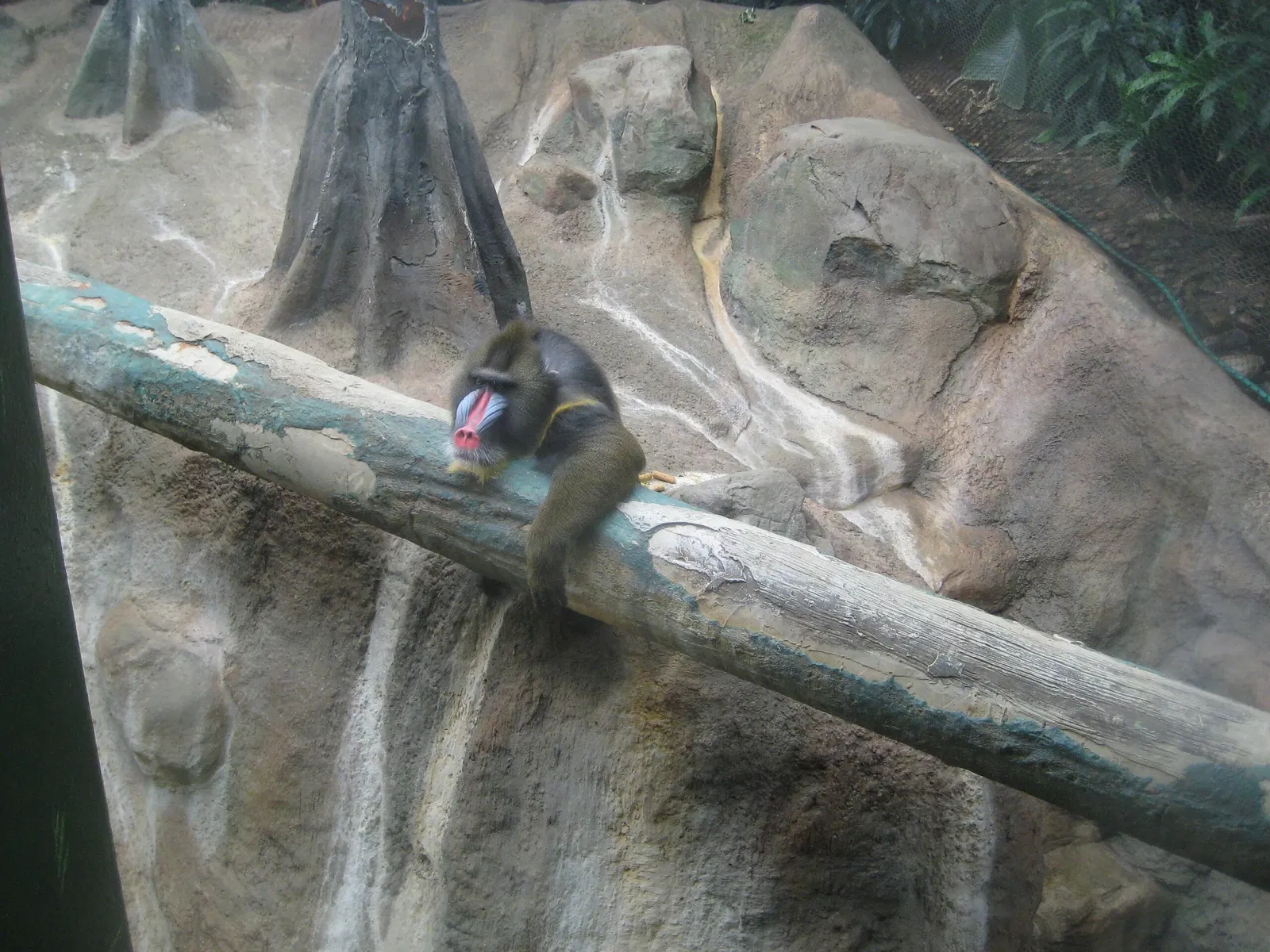 Pittsburgh Zoo & Aquarium