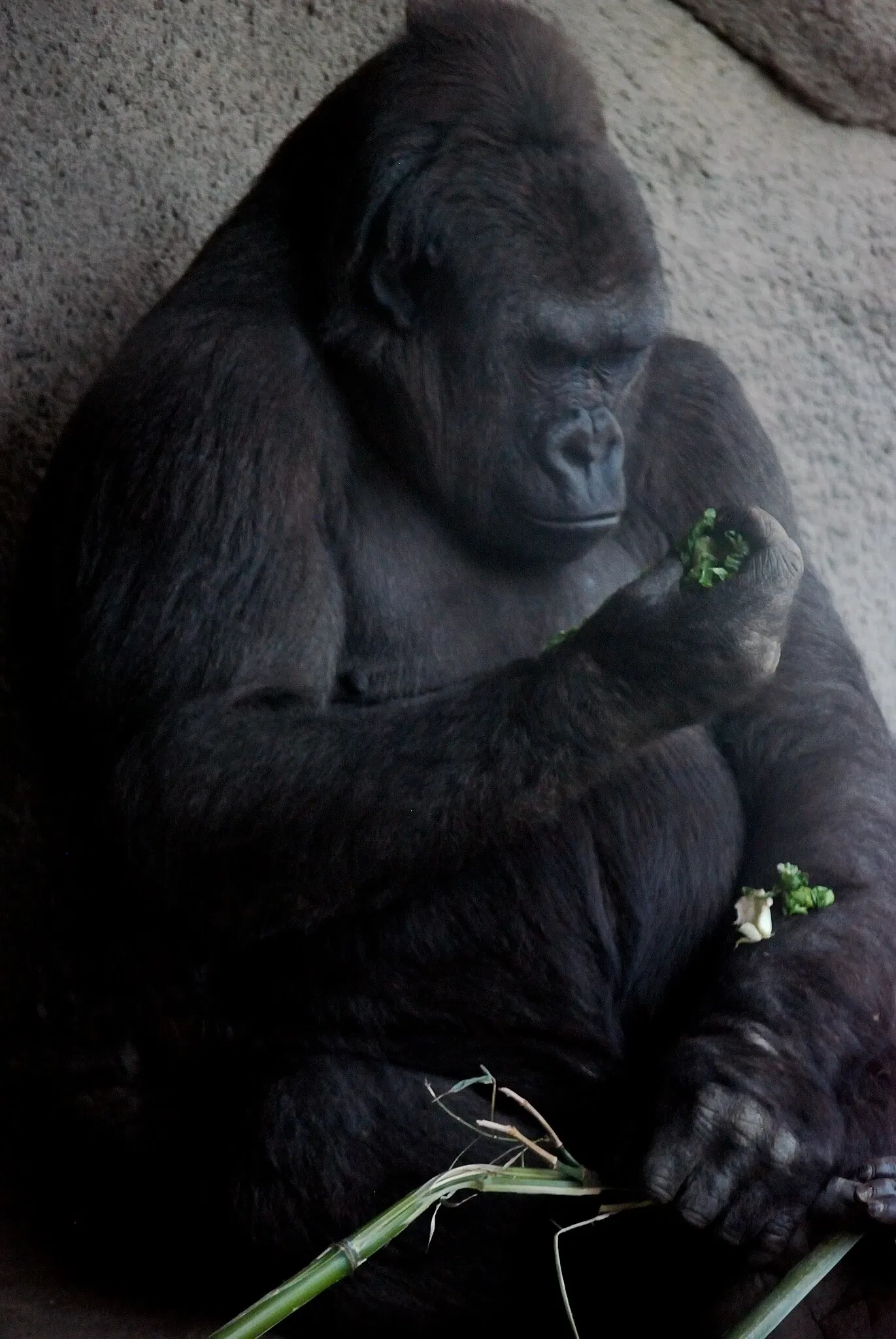 Pittsburgh Zoo & Aquarium