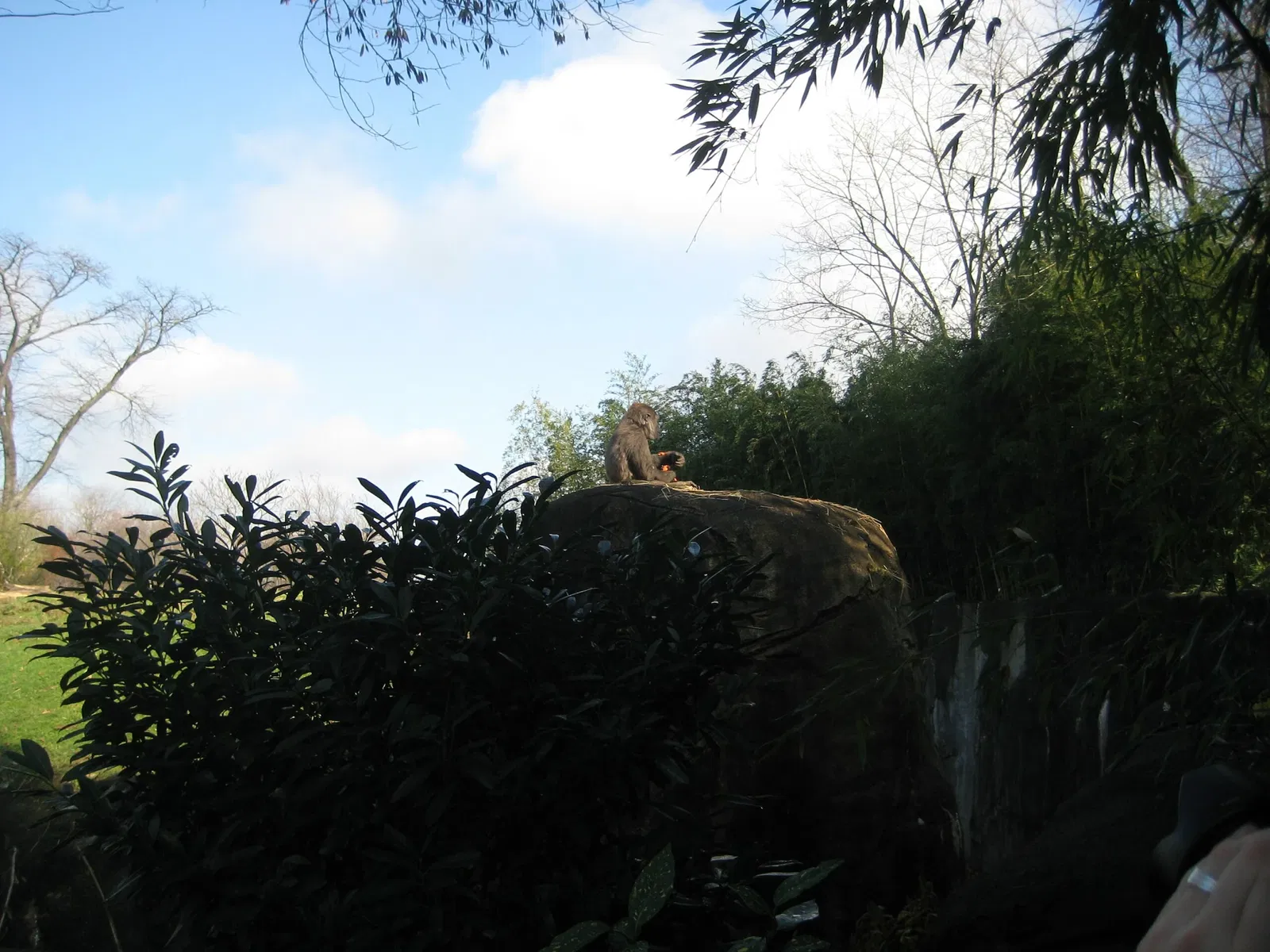 Pittsburgh Zoo & Aquarium