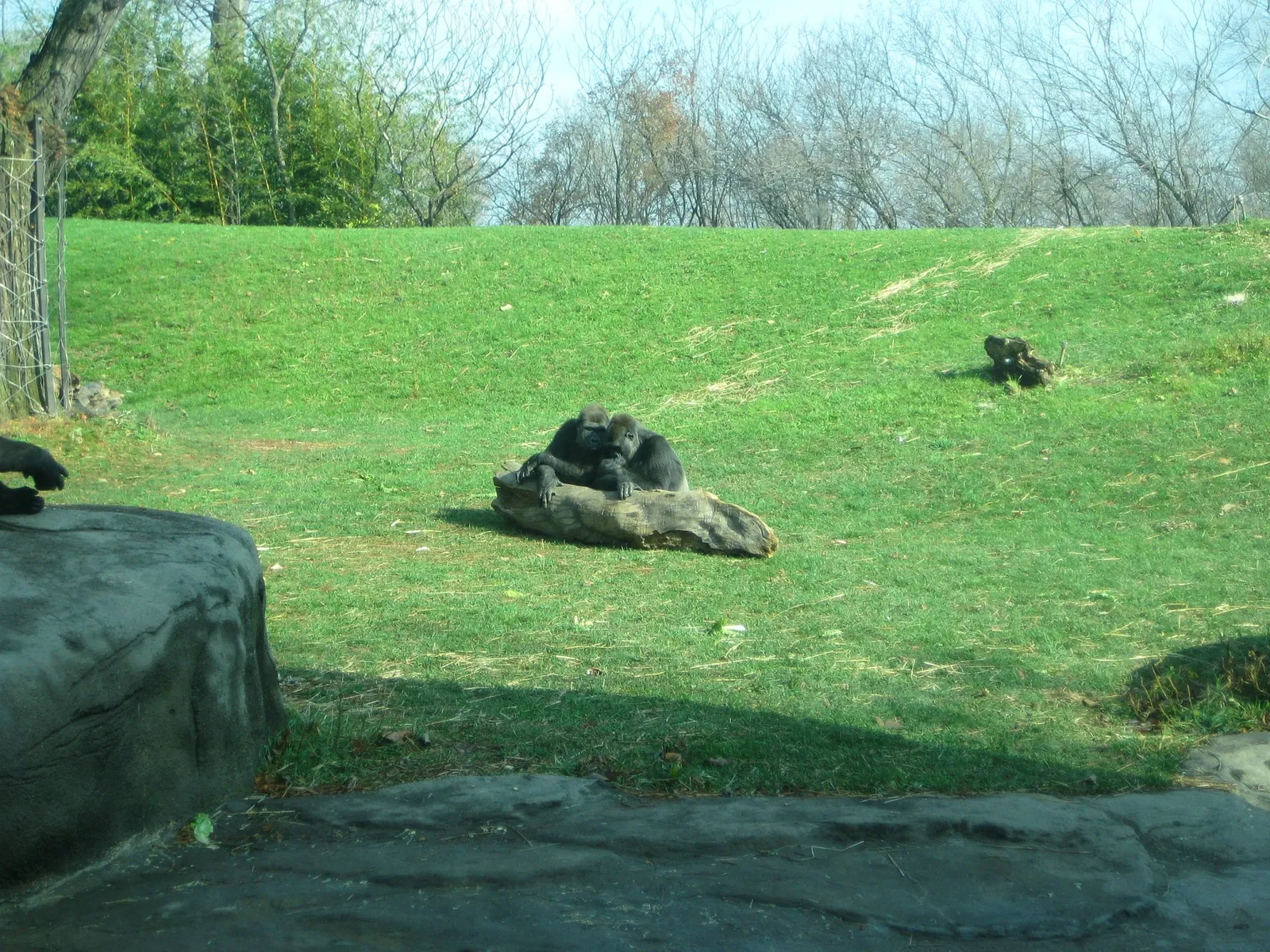 Pittsburgh Zoo & Aquarium