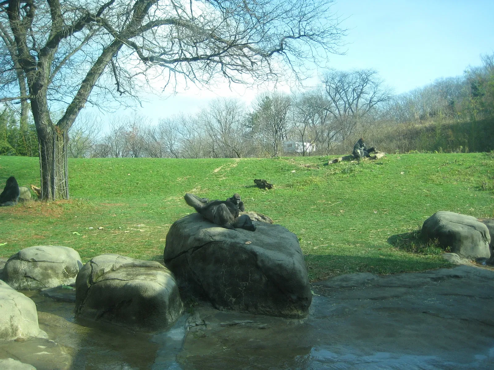 Pittsburgh Zoo & Aquarium