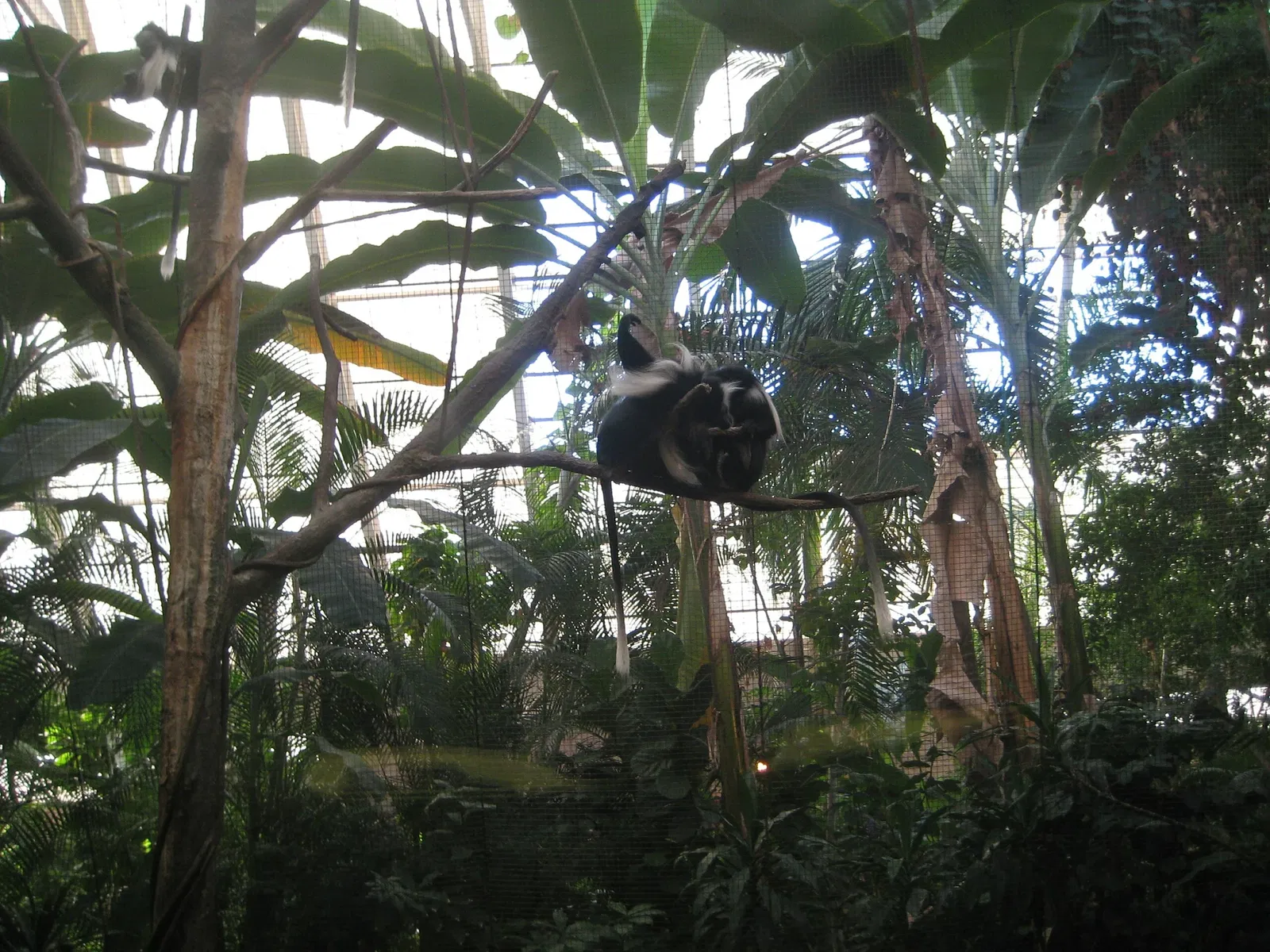 Pittsburgh Zoo & Aquarium