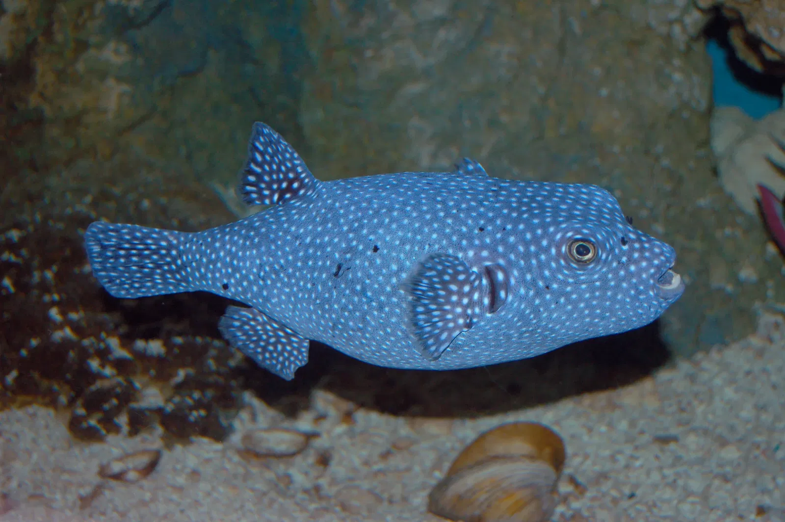 Pittsburgh Zoo & Aquarium