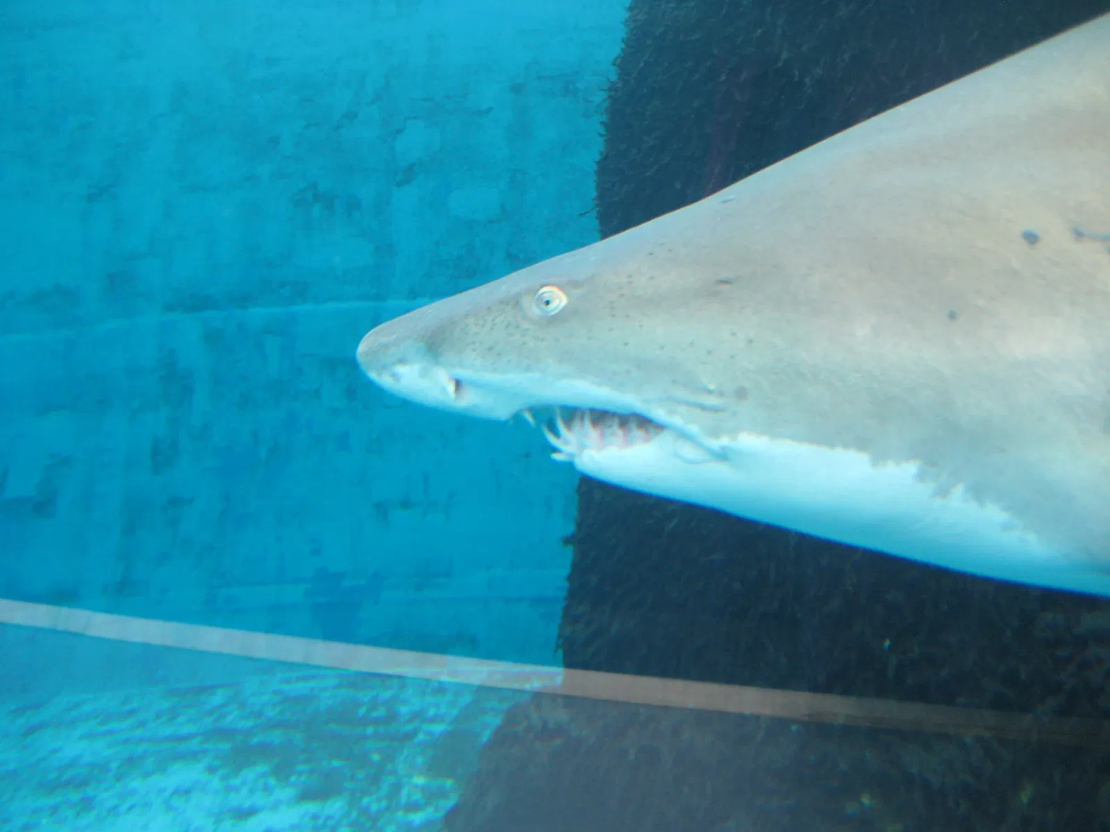 Pittsburgh Zoo & Aquarium