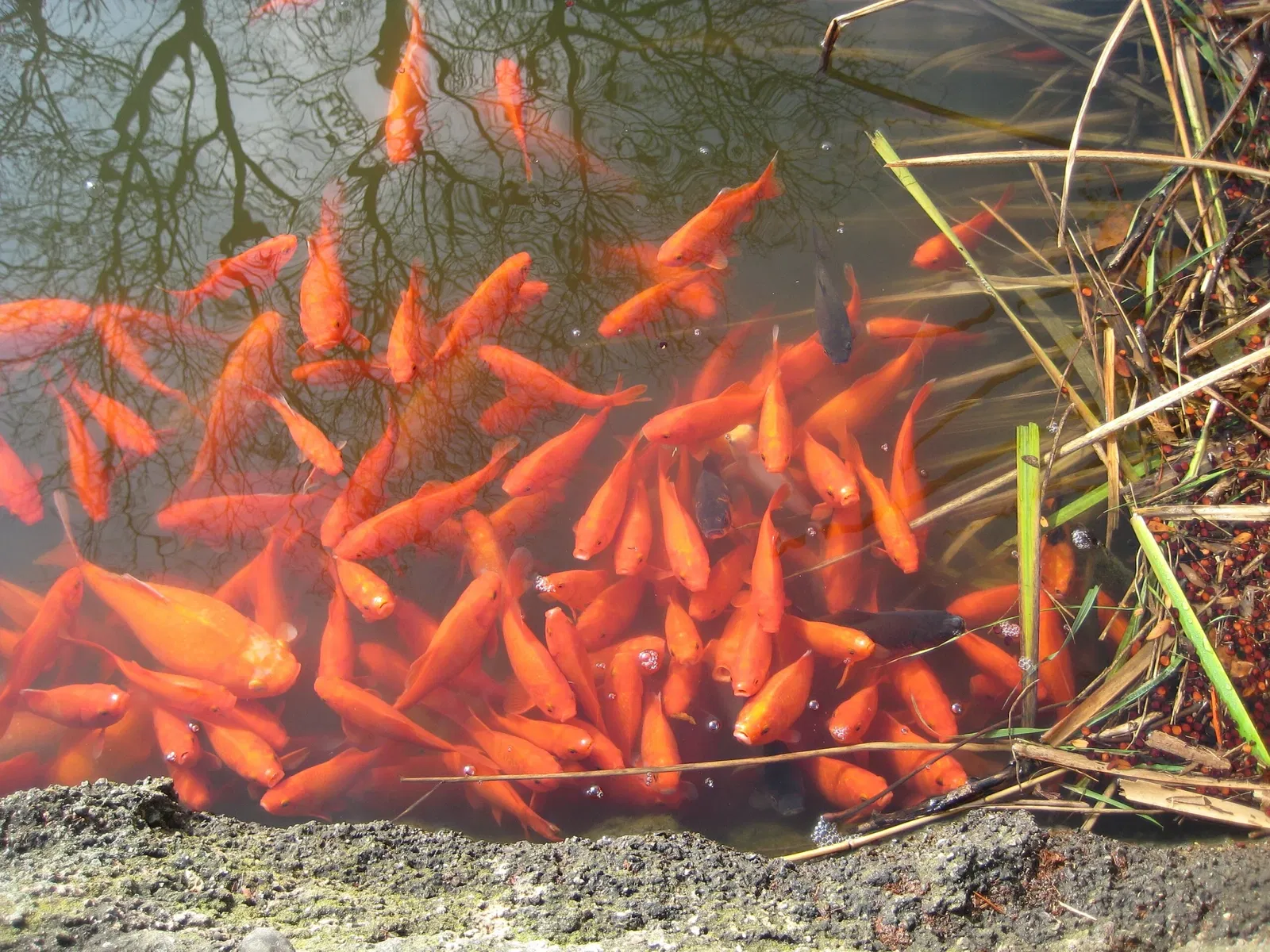 Pittsburgh Zoo & Aquarium