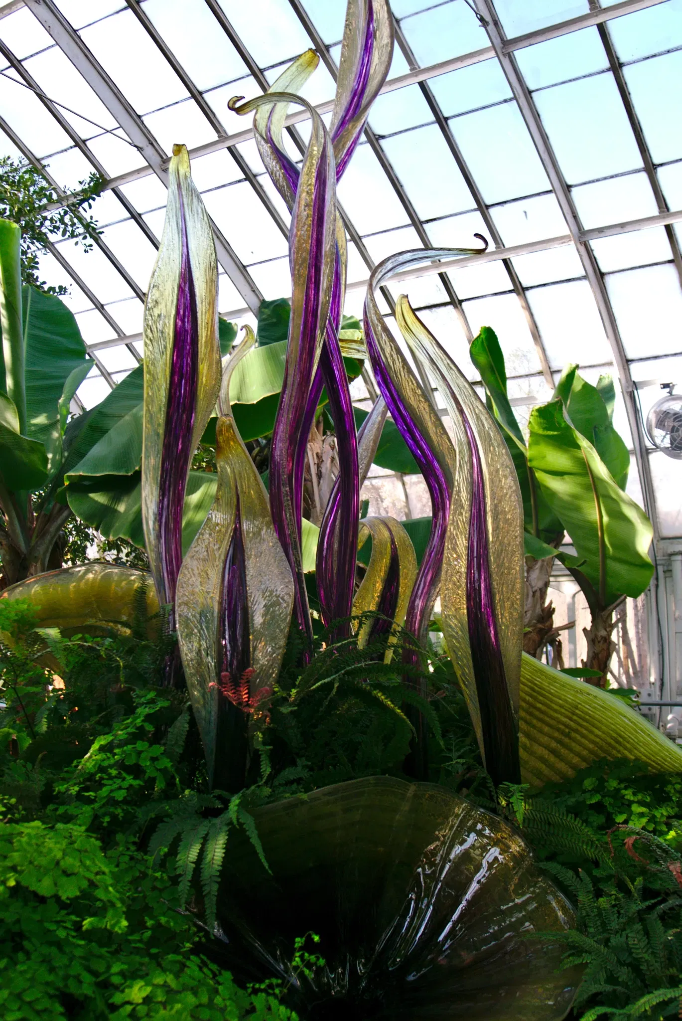 Phipps Conservatory and Botanical Gardens