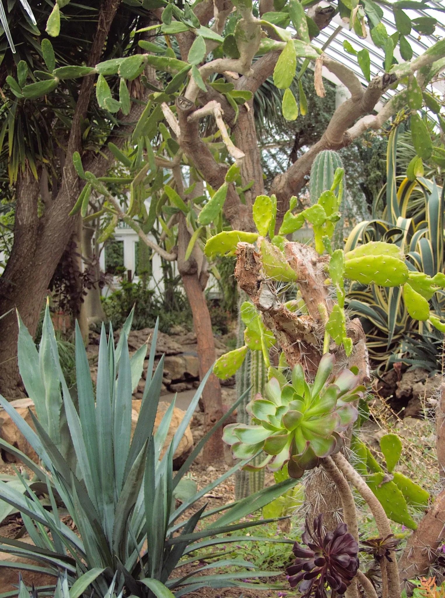 Phipps Conservatory and Botanical Gardens