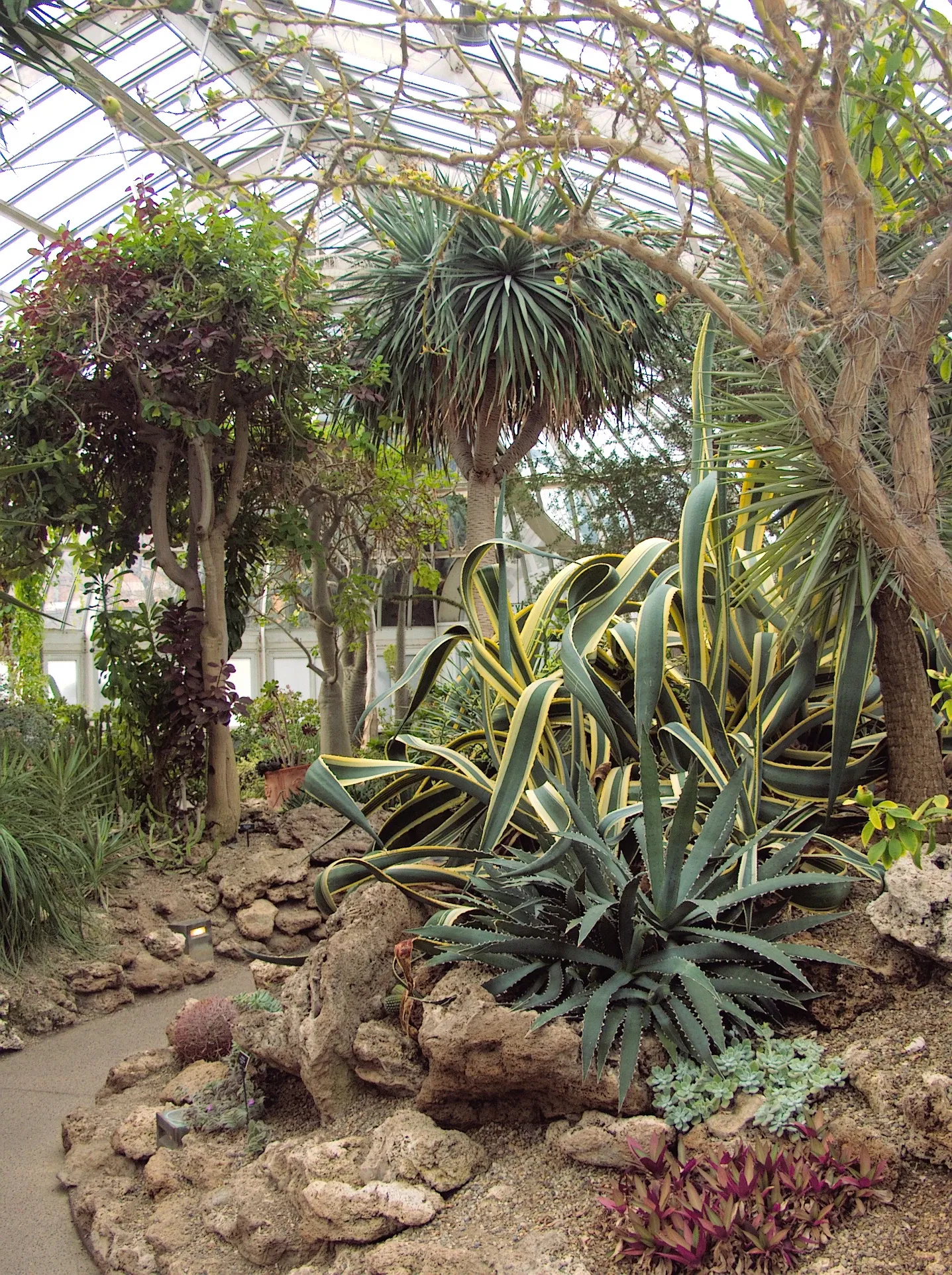 Phipps Conservatory and Botanical Gardens