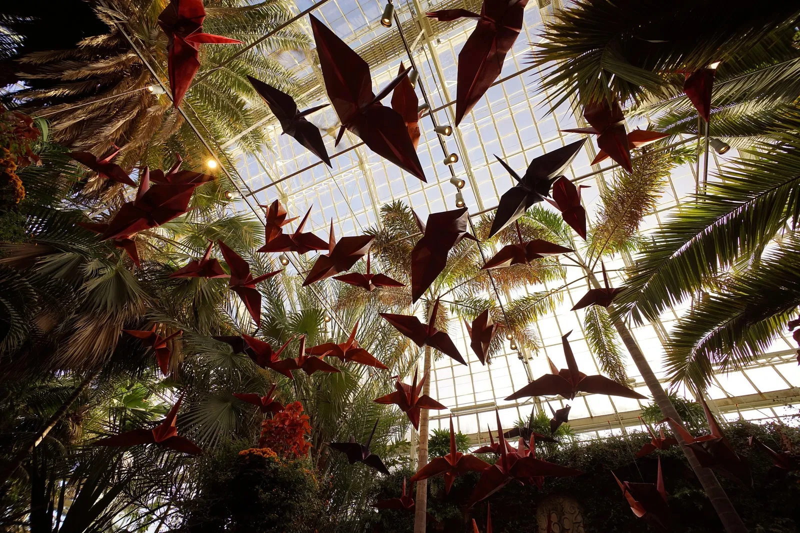 Phipps Conservatory and Botanical Gardens