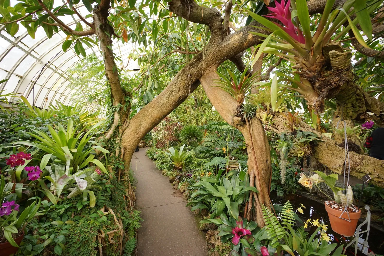 Phipps Conservatory & Botanical Gardens