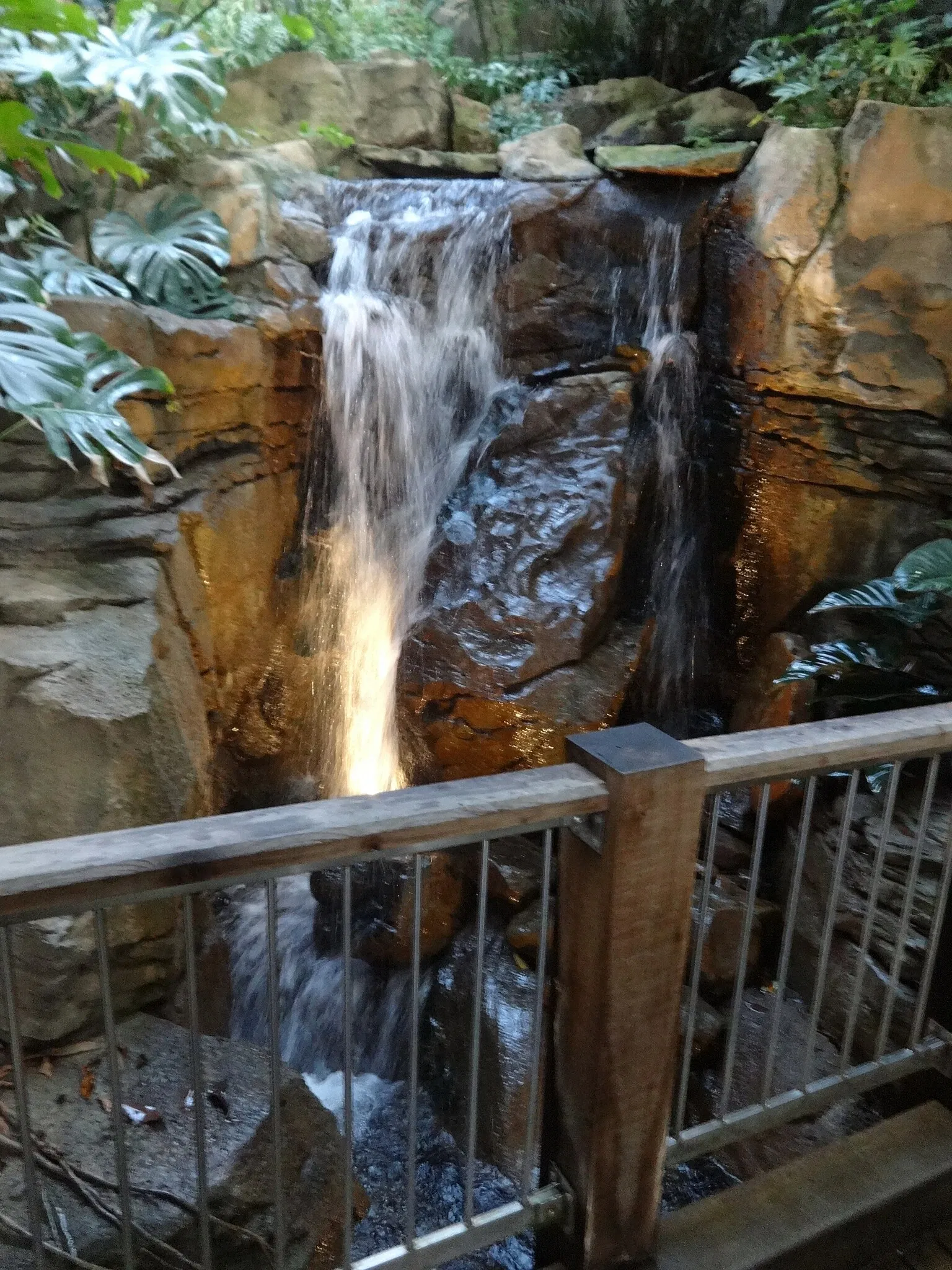 Phipps Conservatory and Botanical Gardens