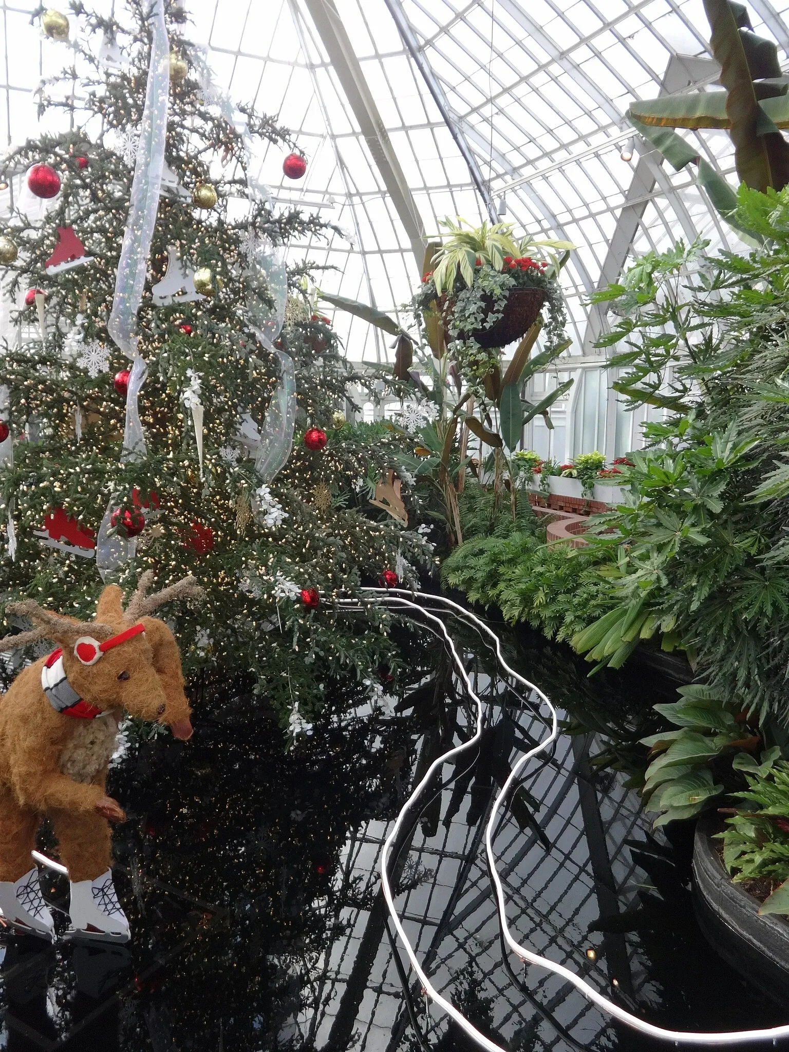 Phipps Conservatory & Botanical Gardens