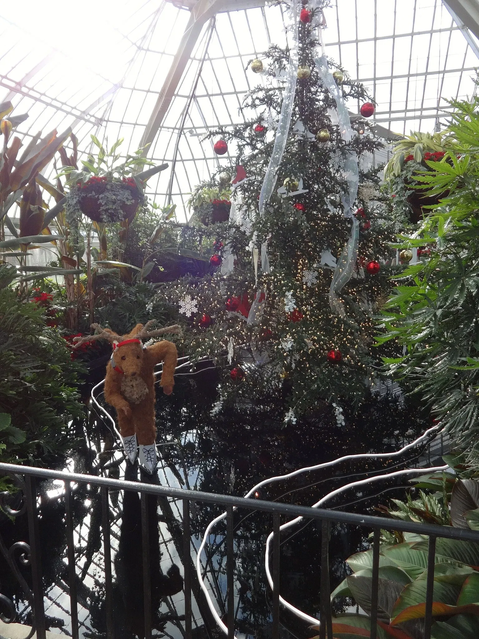 Phipps Conservatory and Botanical Gardens