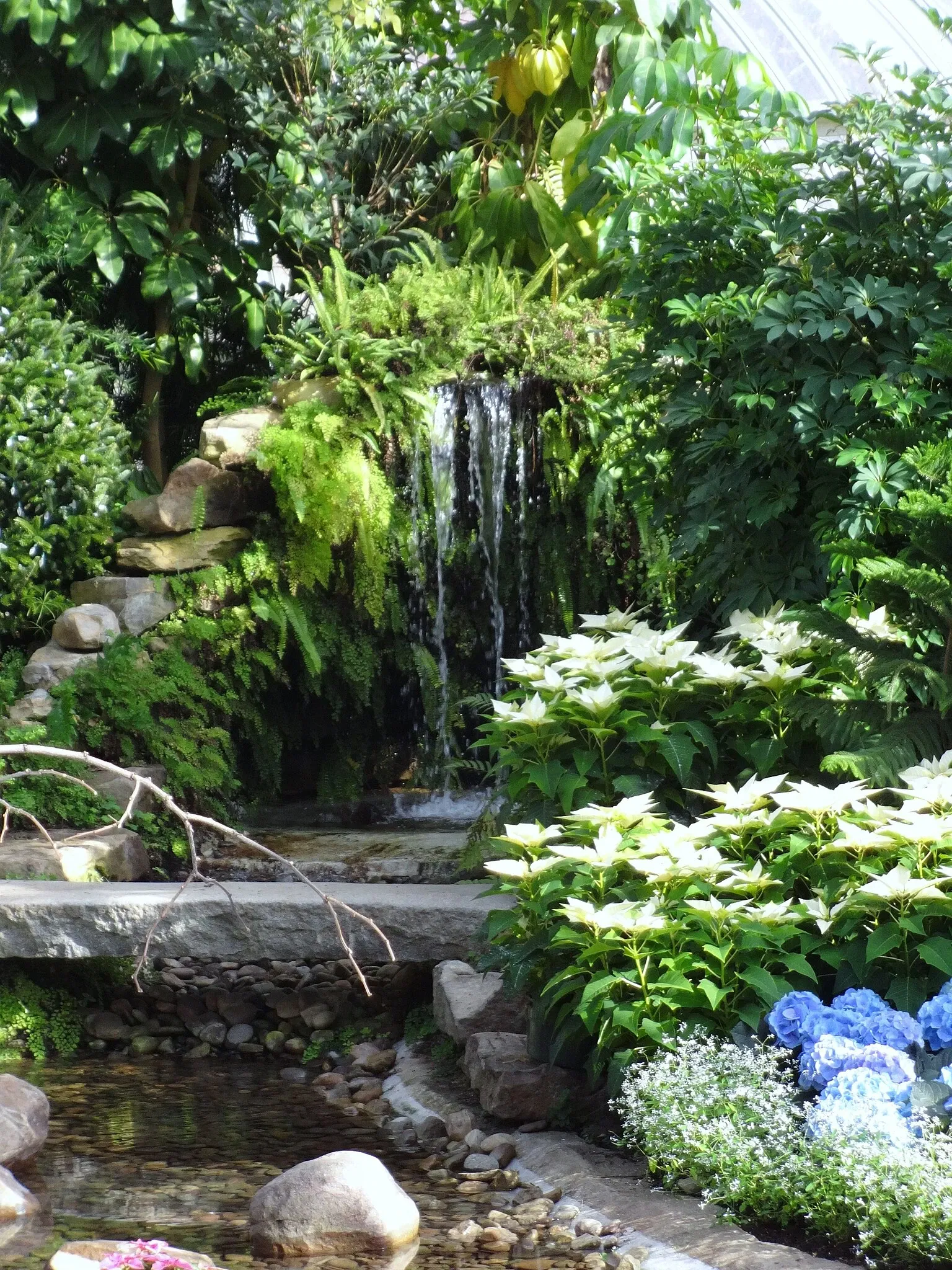 Phipps Conservatory and Botanical Gardens