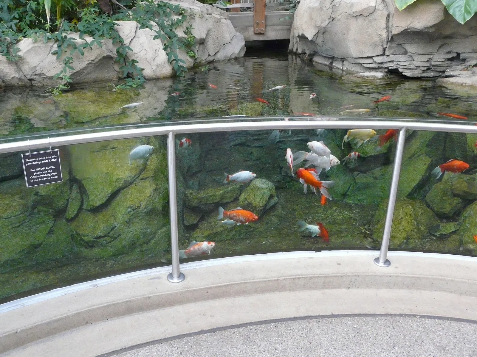 Phipps Conservatory and Botanical Gardens