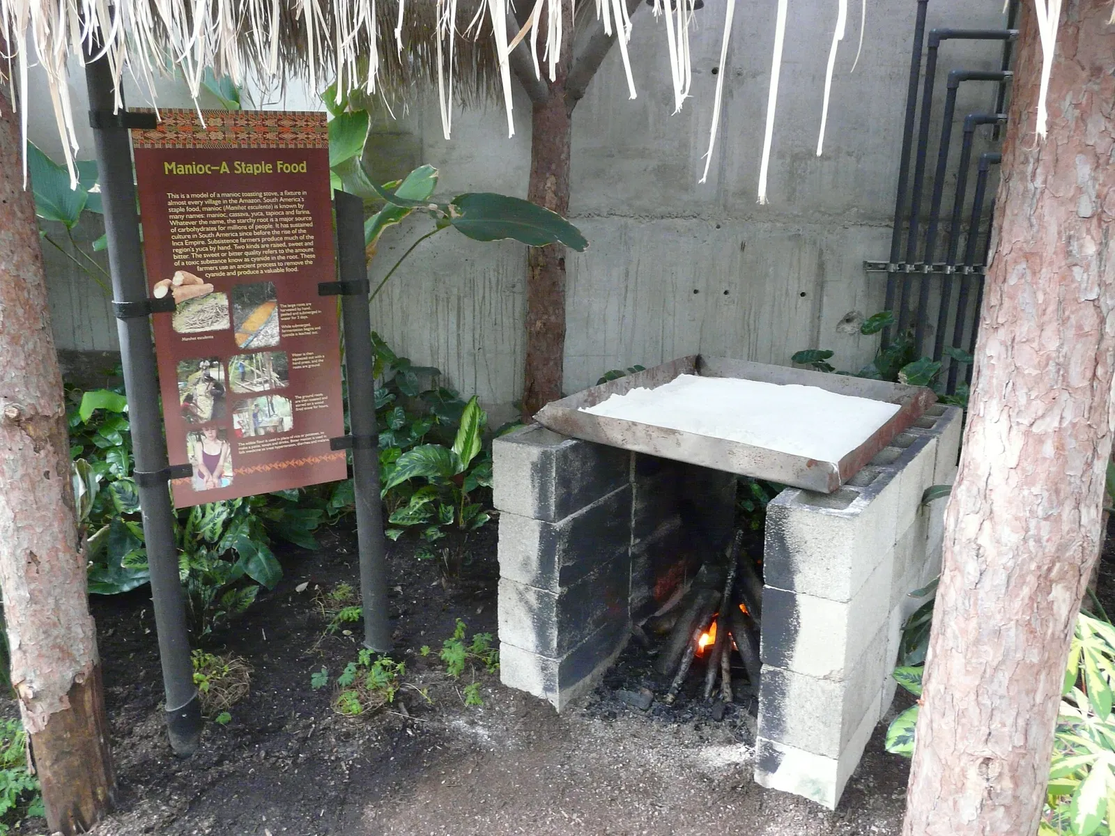 Phipps Conservatory and Botanical Gardens