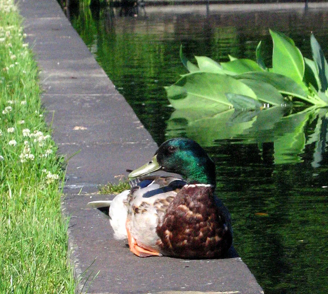 Phipps Conservatory and Botanical Gardens