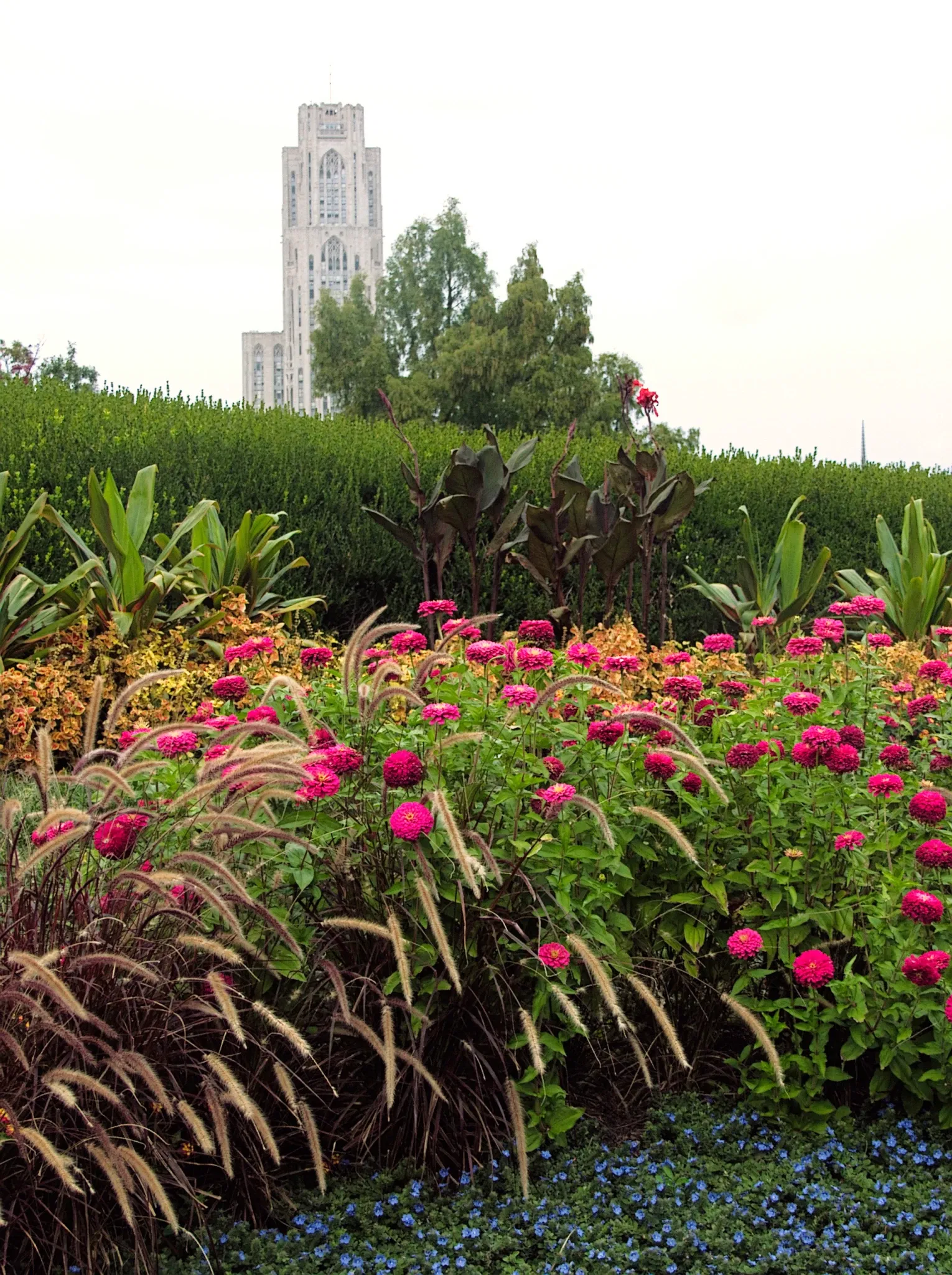 Phipps Conservatory and Botanical Gardens