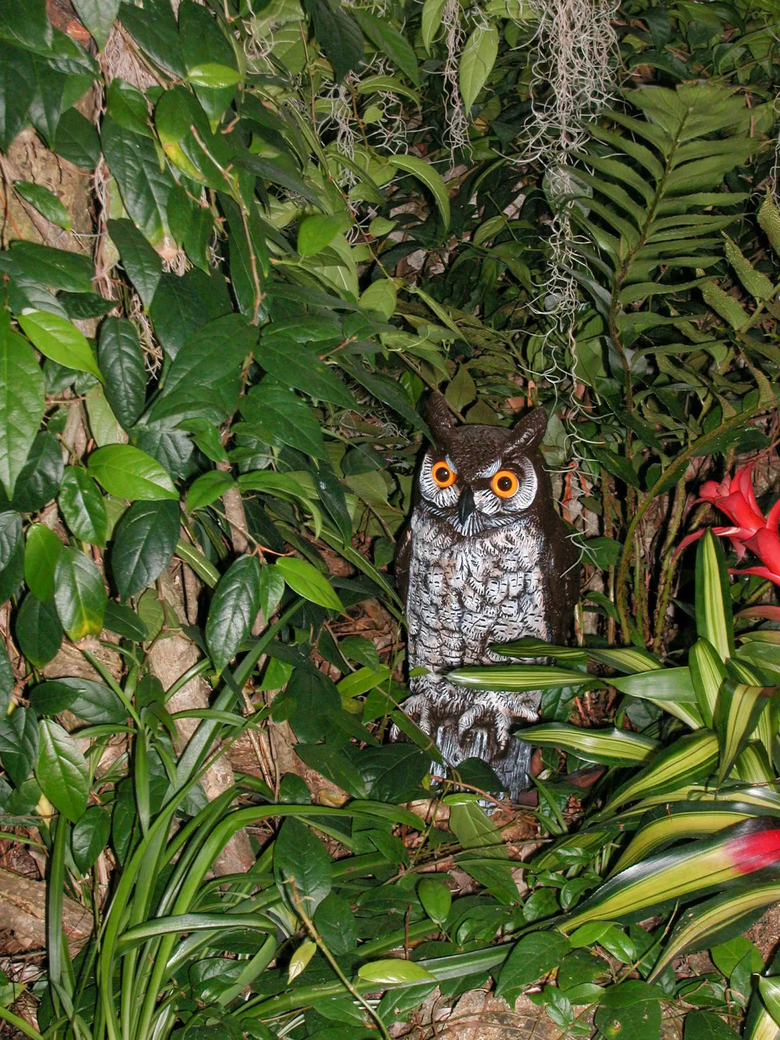 Phipps Conservatory and Botanical Gardens