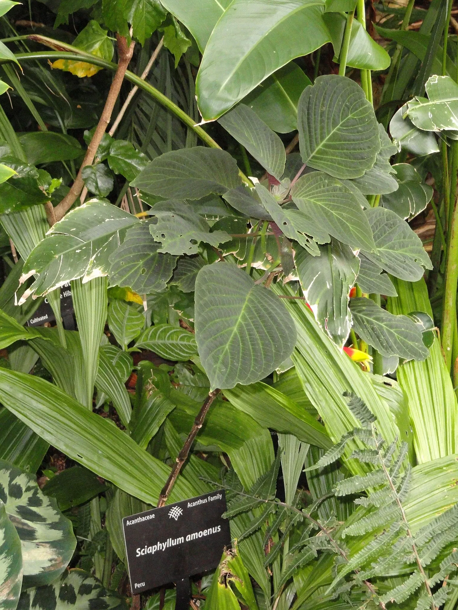 Jardín botánico de Denver