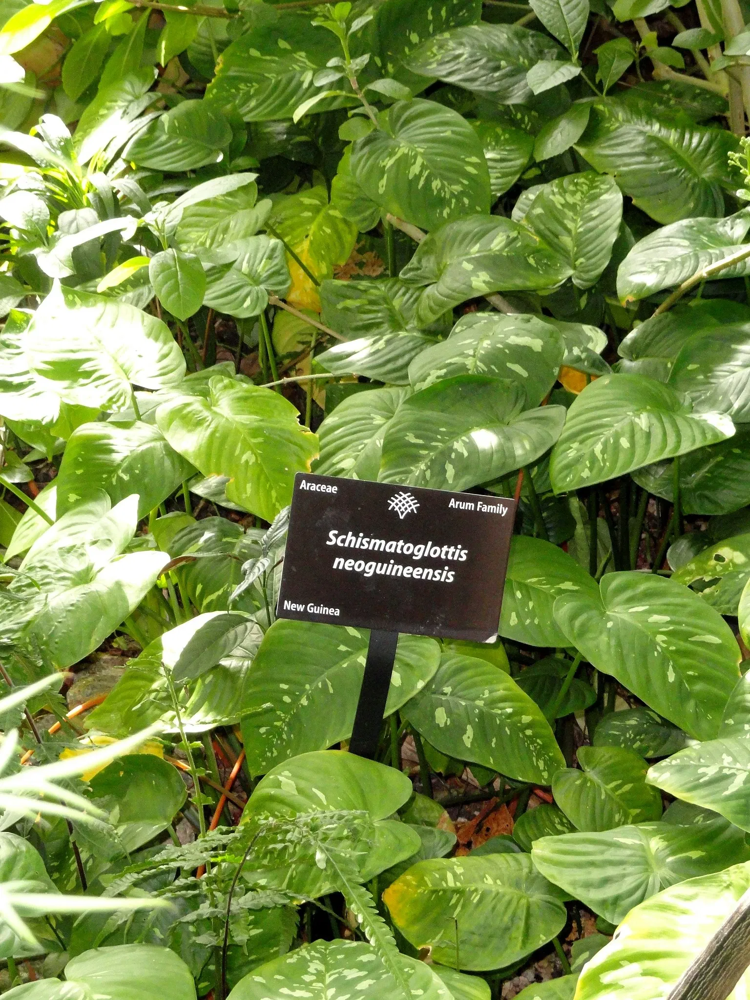 Jardín botánico de Denver