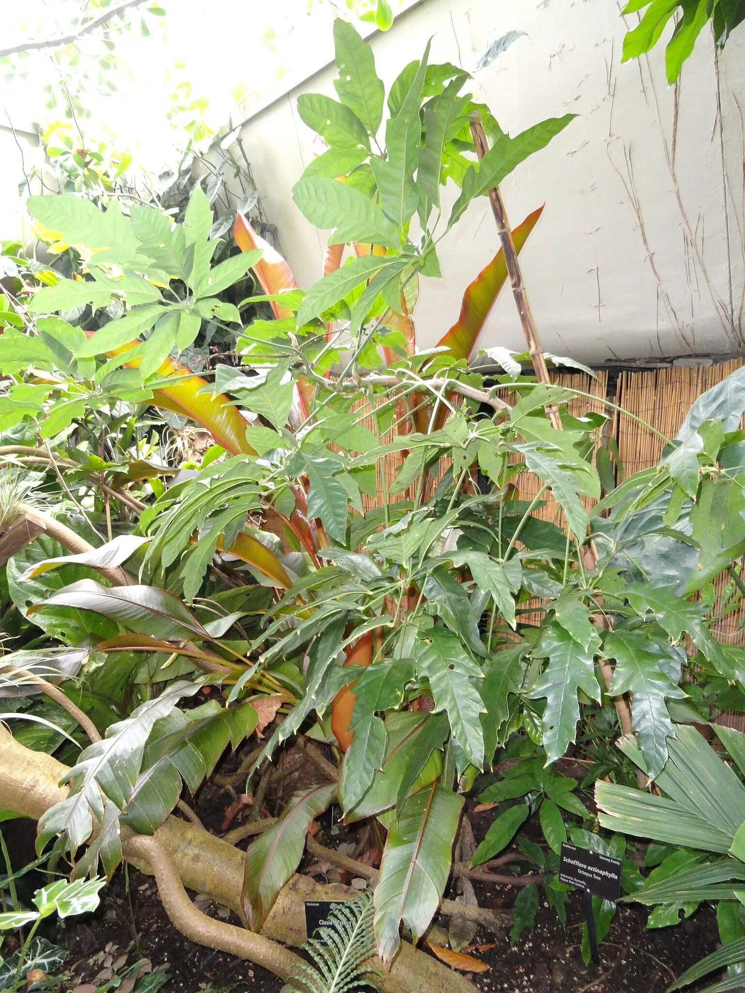 Jardín botánico de Denver