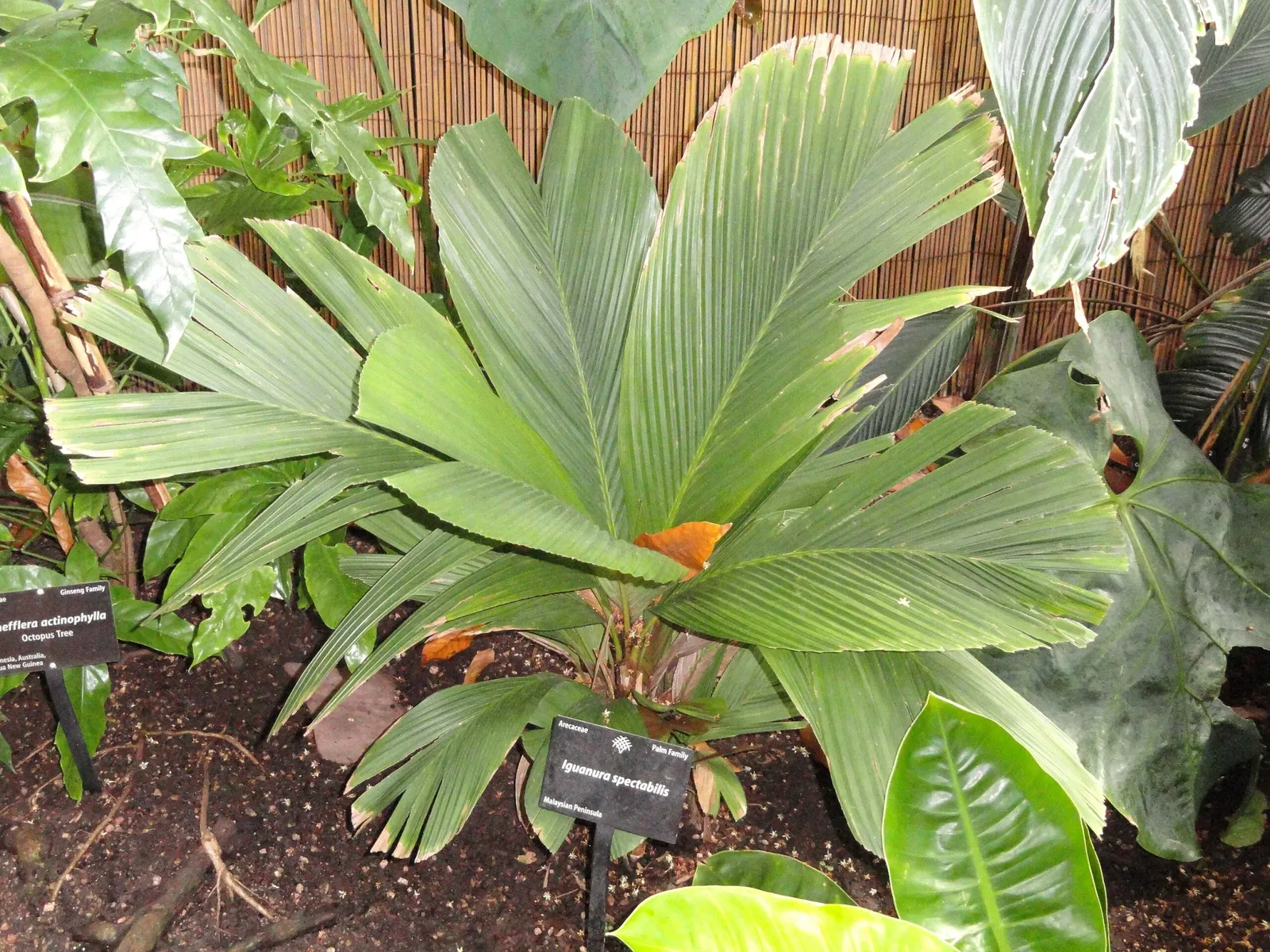 Denver Botanic Gardens