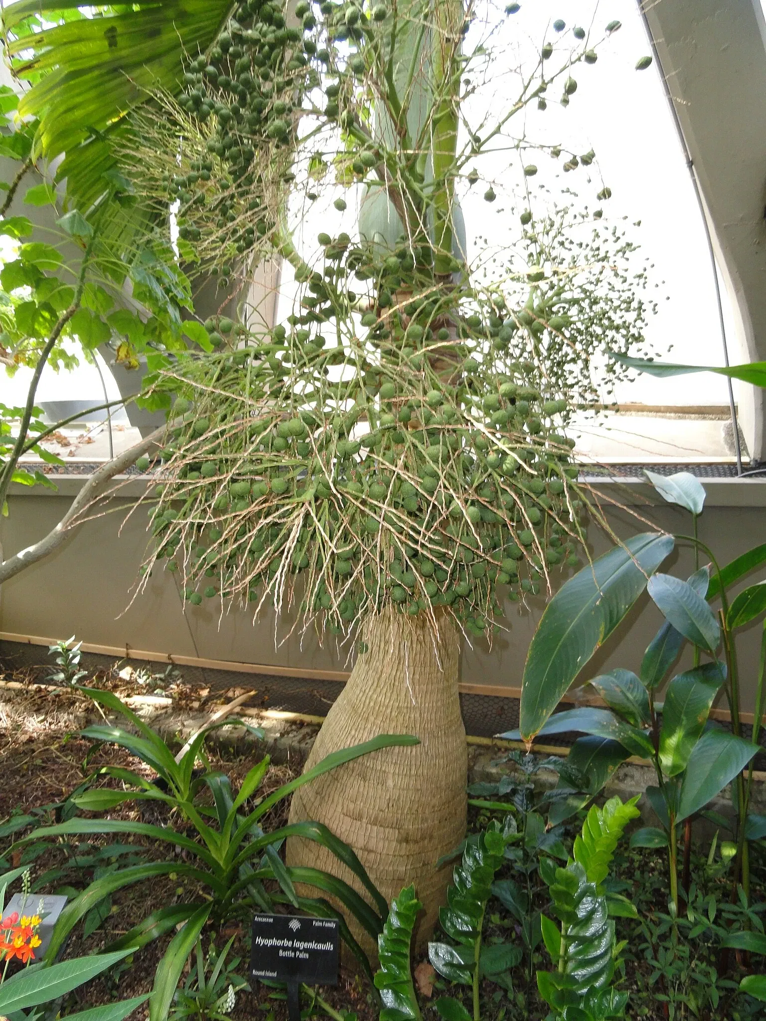 Denver Botanic Gardens