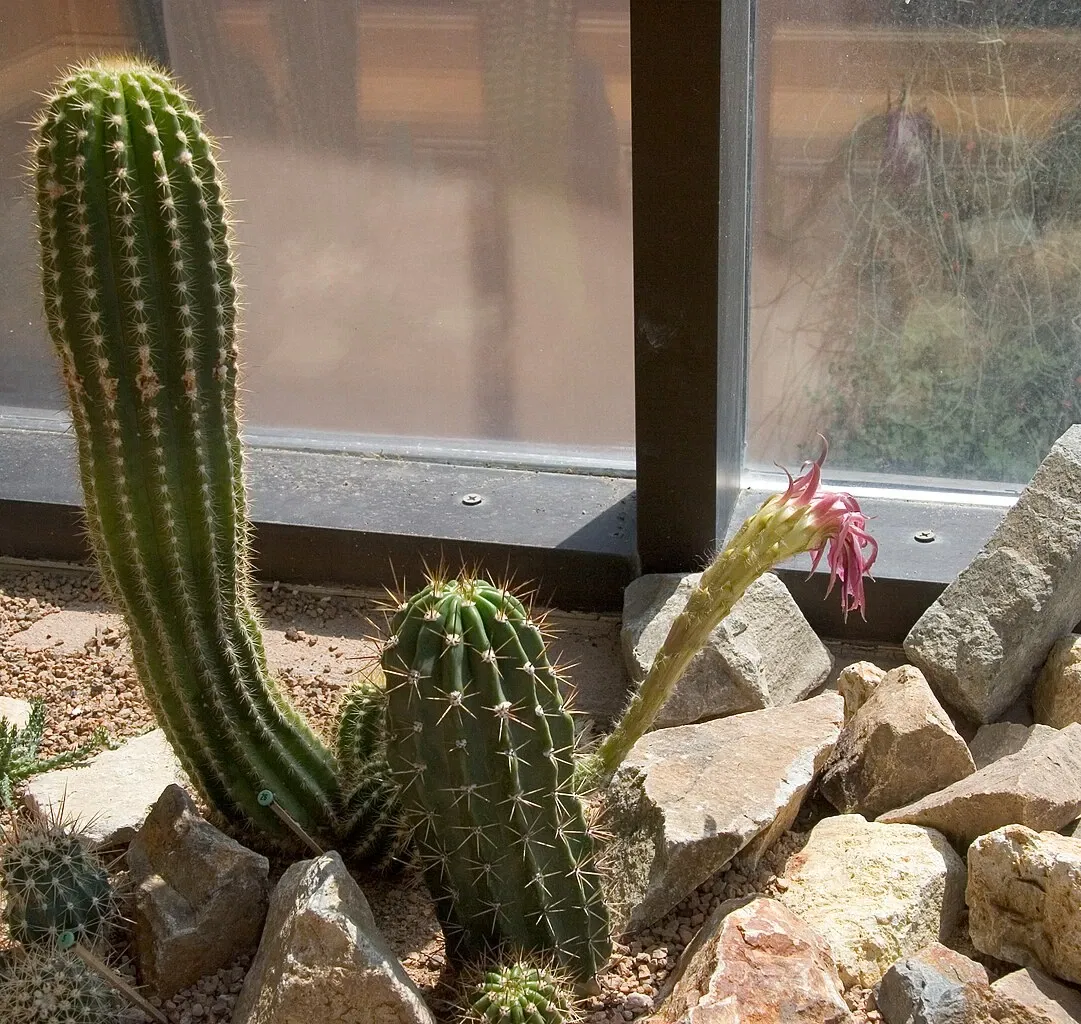 Denver Botanic Gardens