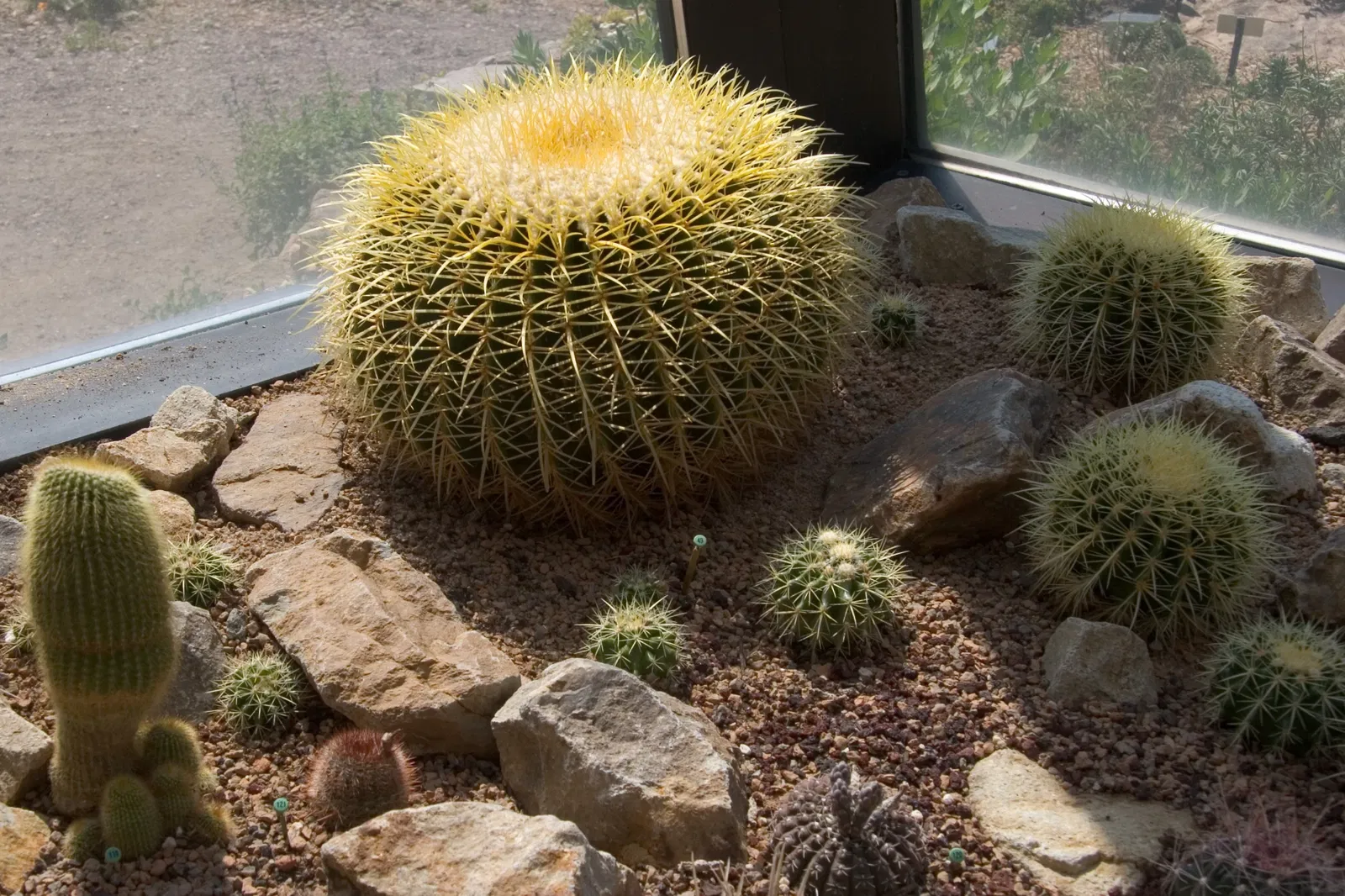 Jardín botánico de Denver