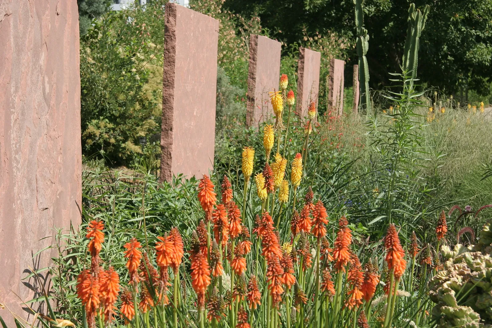 Denver Botanic Gardens