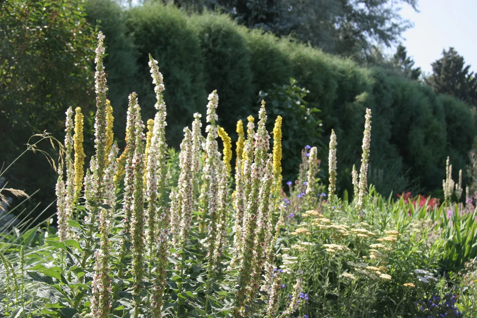 Jardín botánico de Denver