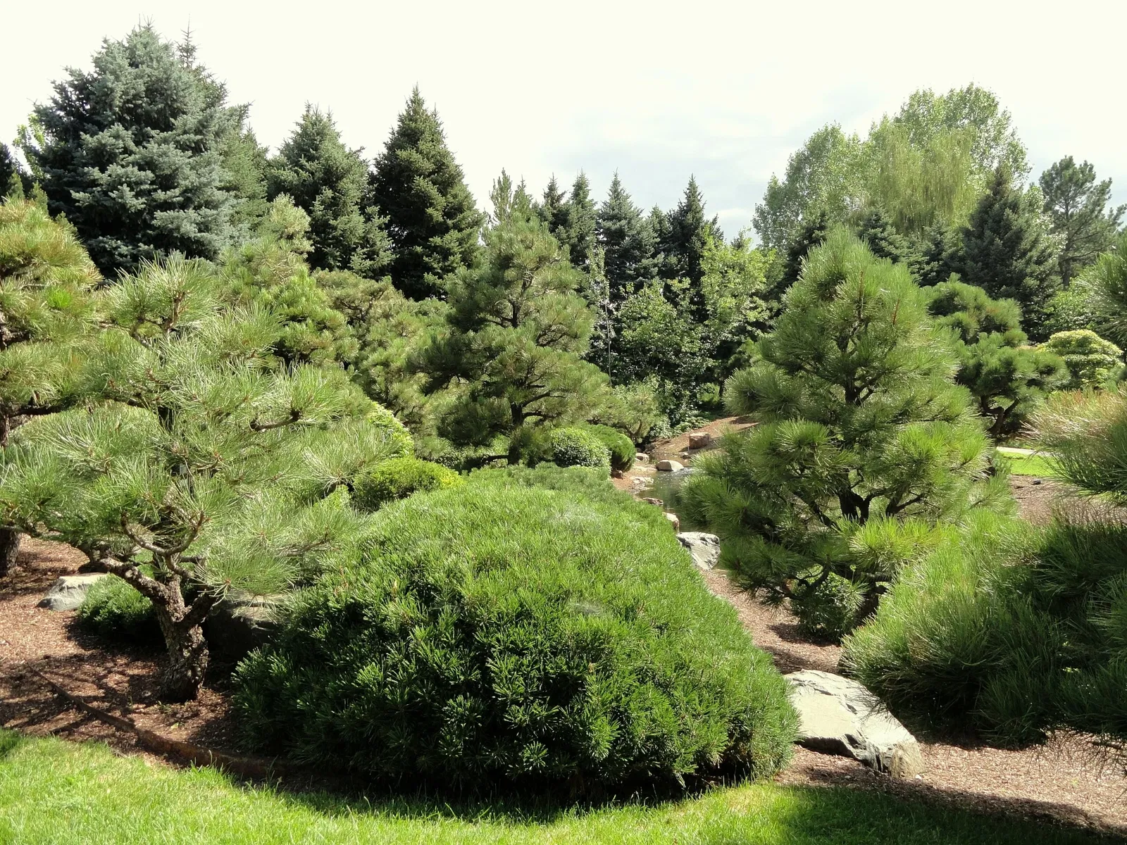 Denver Botanic Gardens