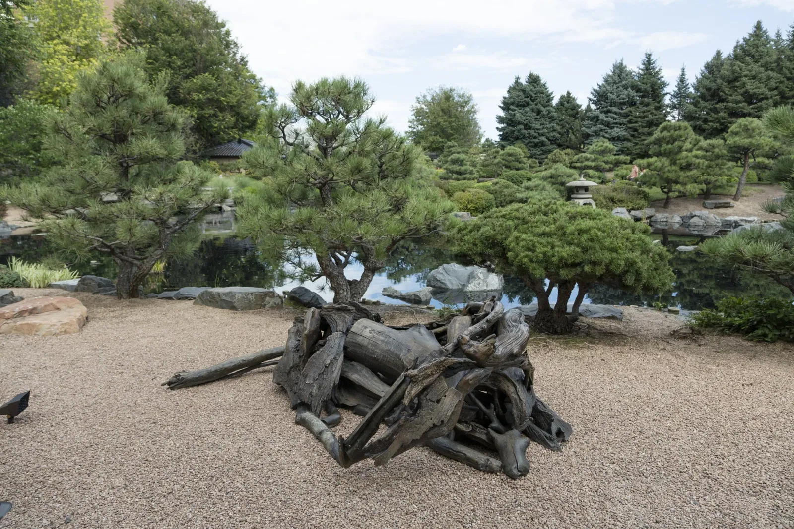 Jardín botánico de Denver