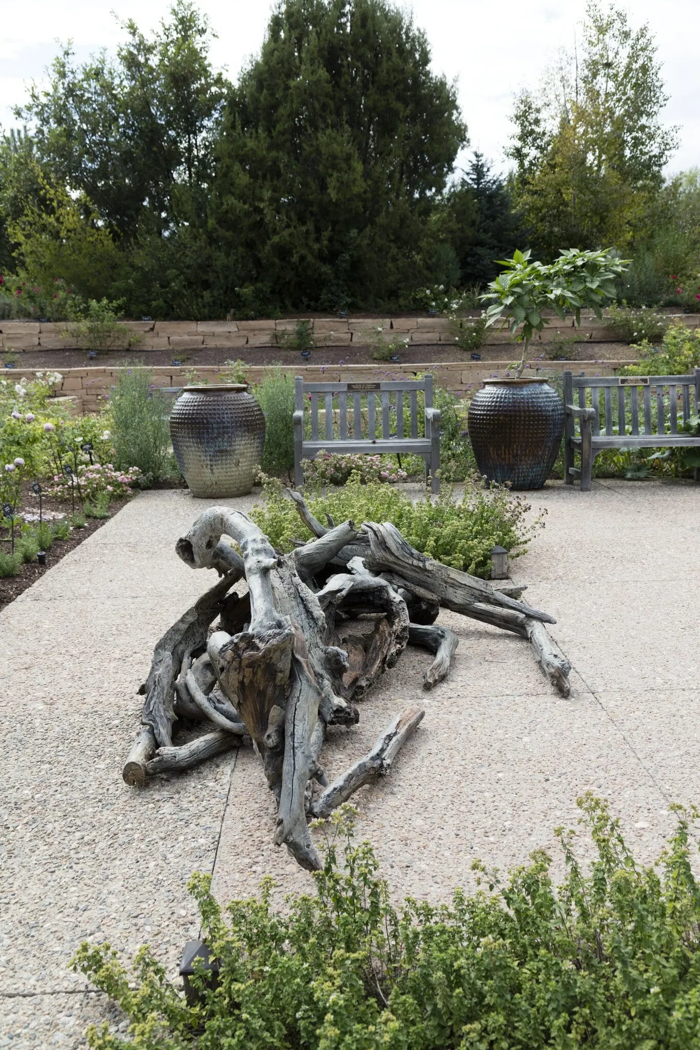 Jardín botánico de Denver