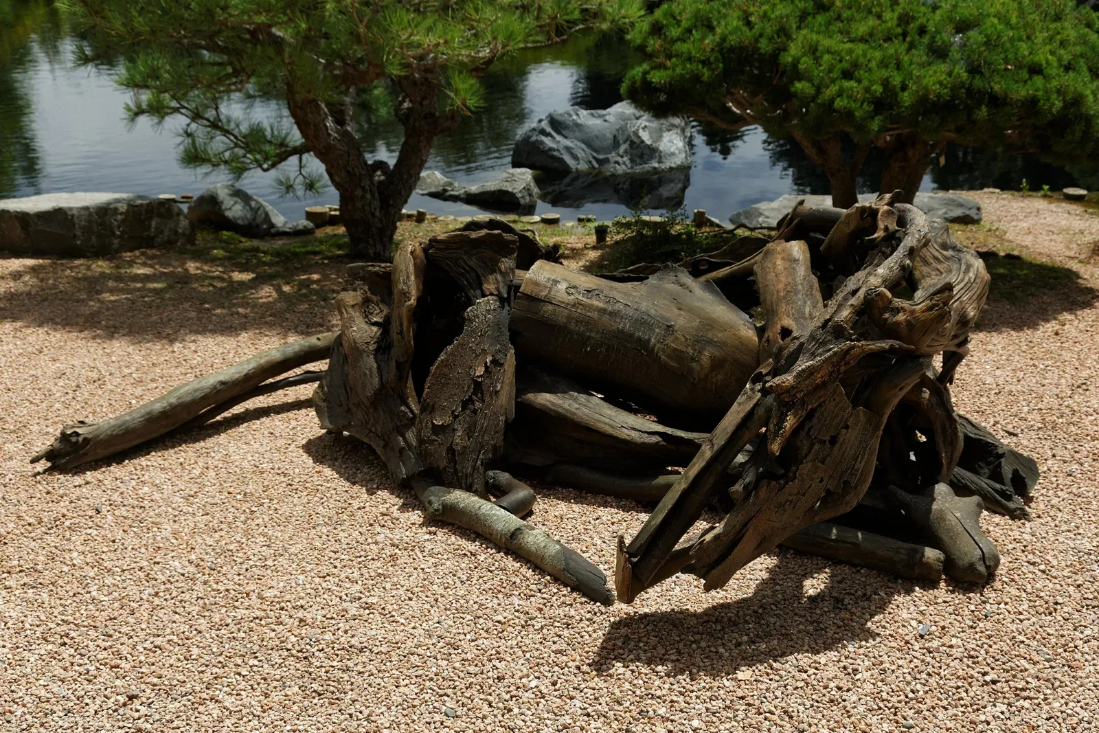 Jardín botánico de Denver