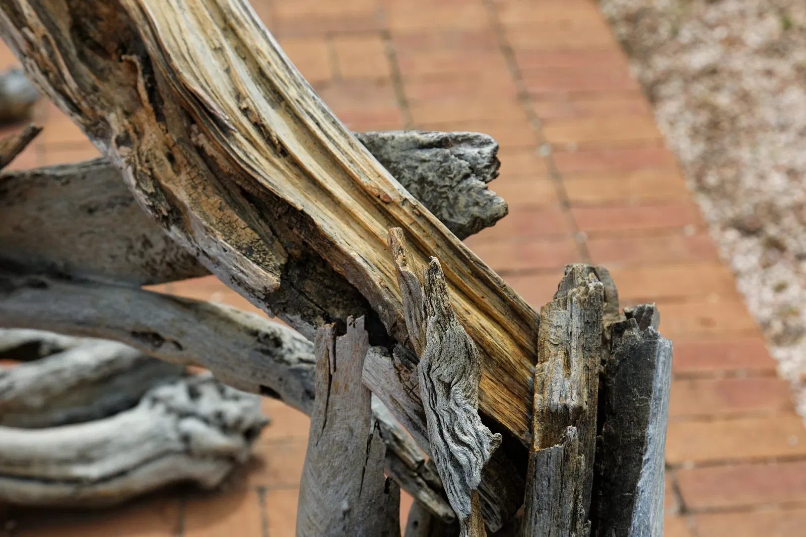 Jardín botánico de Denver