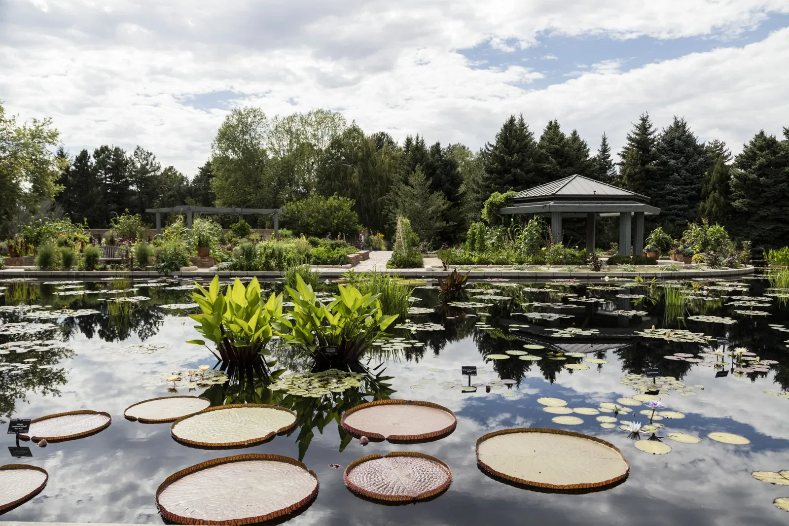 Jardín botánico de Denver