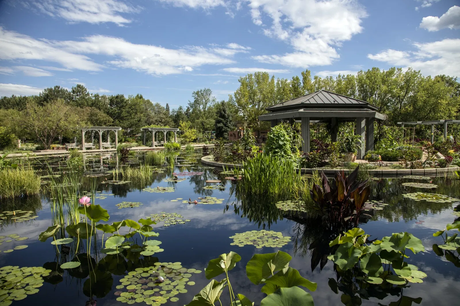 Jardín botánico de Denver